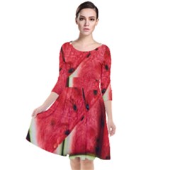 Watermelon, Fruit, Green, Red Quarter Sleeve Waist Band Dress