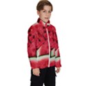 Watermelon, Fruit, Green, Red Kids  High Neck Windbreaker View3