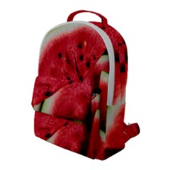 Watermelon, Fruit, Green, Red Flap Pocket Backpack (large)