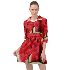 Watermelon, Fruit, Green, Red Mini Skater Shirt Dress