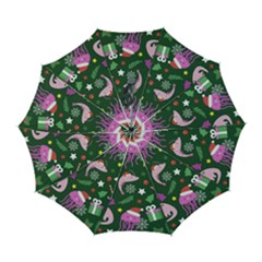 Dinosaur Colorful Funny Christmas Pattern Automatic Folding Umbrella With Case (large) by Ket1n9