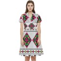 Ukrainian Folk Seamless Pattern Ethnic Ornament Border Element Traditional Short Sleeve Waist Detail Dress View1