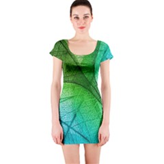 3d Leaves Texture Sheet Blue Green Short Sleeve Bodycon Dress