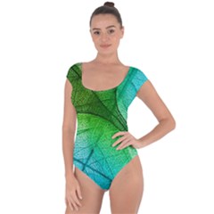 3d Leaves Texture Sheet Blue Green Short Sleeve Leotard 