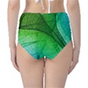 3d Leaves Texture Sheet Blue Green Classic High-Waist Bikini Bottoms View2