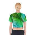 3d Leaves Texture Sheet Blue Green Cotton Crop Top View2