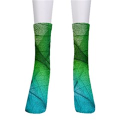 3d Leaves Texture Sheet Blue Green Crew Socks