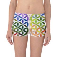 Mandala Rainbow Colorful Reversible Boyleg Bikini Bottoms