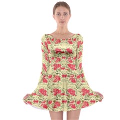 Retro 1880s Flowers Pattern 18 Long Sleeve Skater Dress