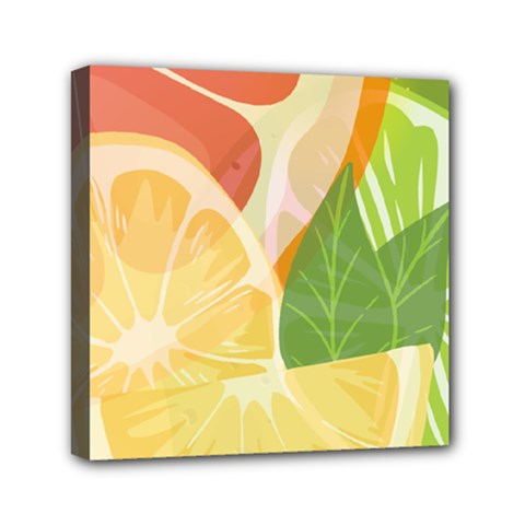 Citrus Fruit Healthy Vitamin Mini Canvas 6  X 6  (stretched) by Paksenen