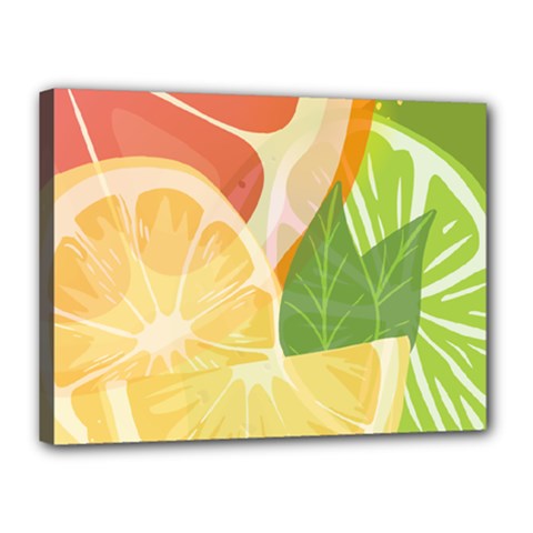 Citrus Fruit Healthy Vitamin Canvas 16  X 12  (stretched) by Paksenen