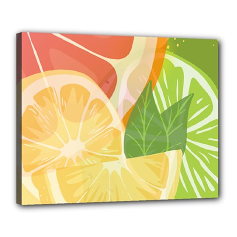 Citrus Fruit Healthy Vitamin Canvas 20  X 16  (stretched) by Paksenen