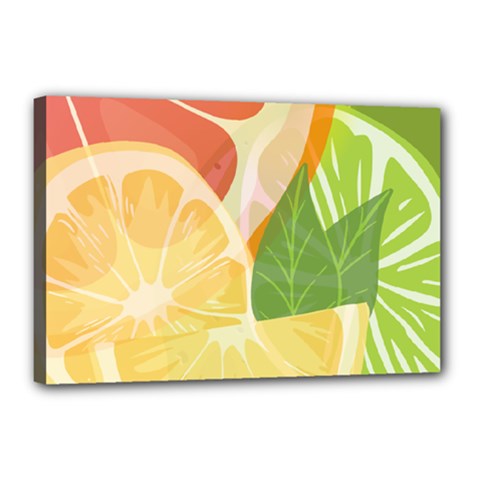 Citrus Fruit Healthy Vitamin Canvas 18  X 12  (stretched) by Paksenen