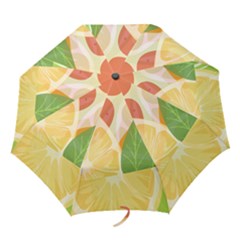 Citrus Fruit Healthy Vitamin Folding Umbrellas by Paksenen