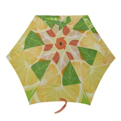 Citrus Fruit Healthy Vitamin Mini Folding Umbrellas by Paksenen