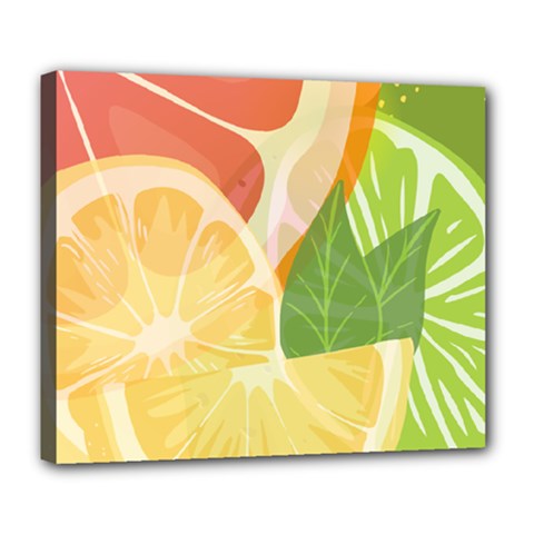 Citrus Fruit Healthy Vitamin Deluxe Canvas 24  X 20  (stretched) by Paksenen