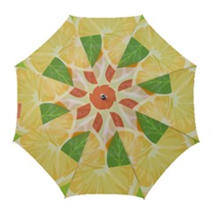 Citrus Fruit Healthy Vitamin Golf Umbrellas by Paksenen