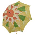 Citrus Fruit Healthy Vitamin Hook Handle Umbrellas (Small) View2