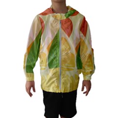 Citrus Fruit Healthy Vitamin Kids  Hooded Windbreaker