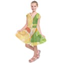 Citrus Fruit Healthy Vitamin Kids  Short Sleeve Dress View1