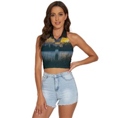 Peaceful Horizons Of Uruguay  Backless Halter Cami Shirt