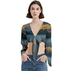 Peaceful Horizons Of Uruguay  Trumpet Sleeve Cropped Top