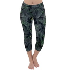 Leaves Plant Foliage Green Capri Winter Leggings 