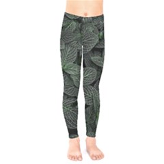 Leaves Plant Foliage Green Kids  Classic Winter Leggings