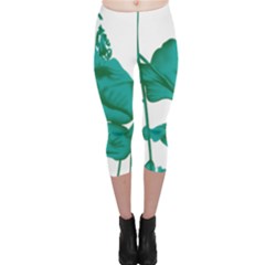 A Painting Of A Flower And A Fish On A Black Background Capri Leggings 