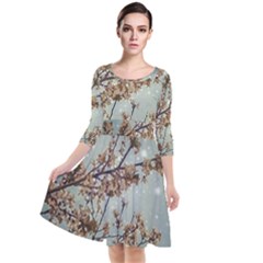 Dreamy Nature Motif Quarter Sleeve Waist Band Dress