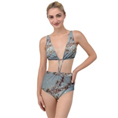 Dreamy Nature Motif Tied Up Two Piece Swimsuit