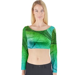 3d Leaves Texture Sheet Blue Green Long Sleeve Crop Top