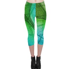 3d Leaves Texture Sheet Blue Green Capri Leggings 