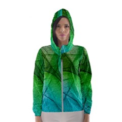 3d Leaves Texture Sheet Blue Green Women s Hooded Windbreaker