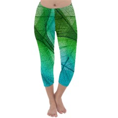 3d Leaves Texture Sheet Blue Green Capri Winter Leggings 