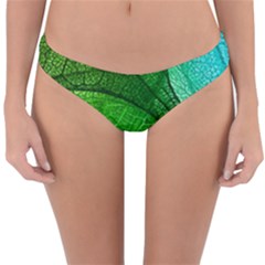 3d Leaves Texture Sheet Blue Green Reversible Hipster Bikini Bottoms