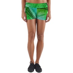 3d Leaves Texture Sheet Blue Green Yoga Shorts