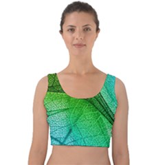 3d Leaves Texture Sheet Blue Green Velvet Crop Top