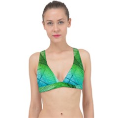 3d Leaves Texture Sheet Blue Green Classic Banded Bikini Top