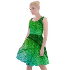 3d Leaves Texture Sheet Blue Green Knee Length Skater Dress