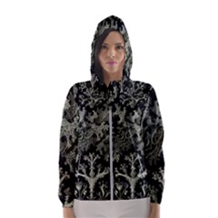 Weave Haeckel Lichenes Photobionten Women s Hooded Windbreaker