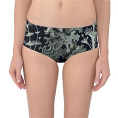 Weave Haeckel Lichenes Photobionten Mid-waist Bikini Bottoms