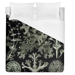 Weave Haeckel Lichenes Photobionten Duvet Cover (queen Size)