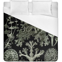 Weave Haeckel Lichenes Photobionten Duvet Cover (king Size)