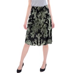 Weave Haeckel Lichenes Photobionten Midi Beach Skirt