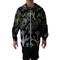 Weave Haeckel Lichenes Photobionten Kids  Hooded Windbreaker