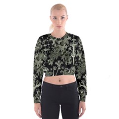 Weave Haeckel Lichenes Photobionten Cropped Sweatshirt