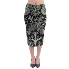 Weave Haeckel Lichenes Photobionten Midi Pencil Skirt