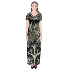 Weave Haeckel Lichenes Photobionten Short Sleeve Maxi Dress