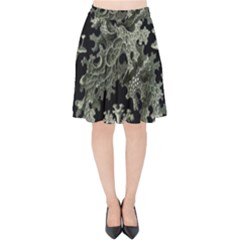 Weave Haeckel Lichenes Photobionten Velvet High Waist Skirt